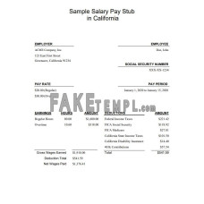 California salary fake pay stub Word and PDF template