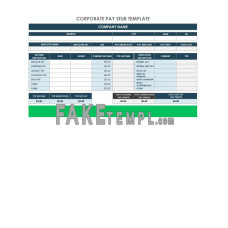 Corporate fake pay stub Word and PDF template