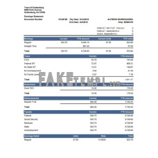 Current YTD Amount fake earnings statement Word and PDF template