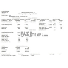 Delores Douglas fake pay stub Word and PDF template