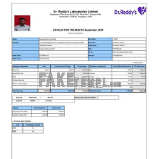 Dr. Reddy's Laboratories Limited fake pay stub Word and PDF template