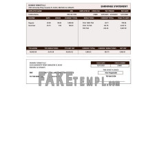 DUNKIN' DONUTS LLC fake earnings statement Word and PDF template