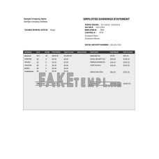 EMPLOYEE fake earnings statement Word and PDF template