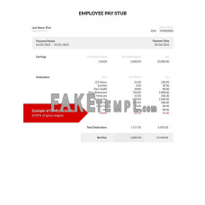 Employee fake pay stub Word and PDF template, version 4