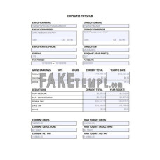 Employee annual fake pay stub Word and PDF template