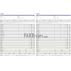 Efake payroll Motiva company fake pay stub Word and PDF template