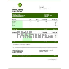 Farming company editable fake earning statement Word and PDF template