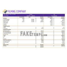 Filming company fake pay stub Word and PDF template