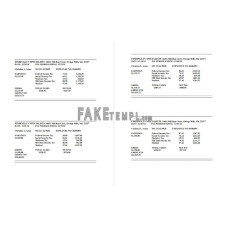 Findingluv specialits company fake pay stub Word and PDF template