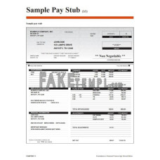 Foundations in Personal Finance High School fake pay stub Word and PDF template