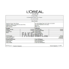 France Loreal Paris cosmetic distributing company fake Word and PDF template