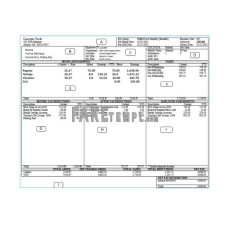 GEORGIA TECH fake pay stub Word and PDF template