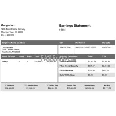 GOOGLE Inc fake earning statement Word and PDF template