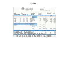 GALVESTON County fake payroll check stub Word and PDF template