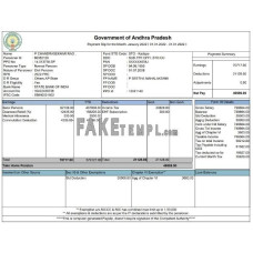 Government of Andhra Pradesh fake pay stub Word and PDF template