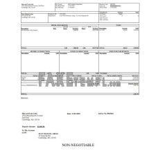 Harvard university fake pay stub Word and PDF template