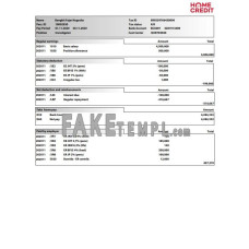 Home Credit fake pay stub Word and PDF template