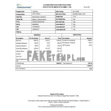 INDIA CONCENTRIX Daksh Services India private Limited fake payslip Word and PDF template