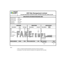 INDIA CRP Risk Management Limited fake salary slip Word and PDF template