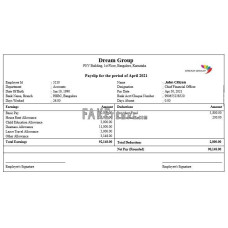 INDIA DREAM group fake payslip Word and PDF template