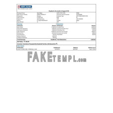 INDIA HDFC bank fake payslip Word and PDF template