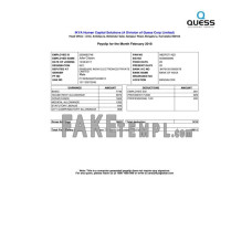 INDIA IKYA Human Capital Solutions fake payslip Word and PDF template