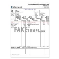 INDIA INTEGRON fake managed solutions Pvt.Ltd Word and PDF template