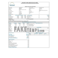 INDIA INTELENET Global Services Limited fake payslip Word and PDF template