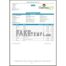 INDIA OPTIMA ICT Services LTD fake payslip Word and PDF template