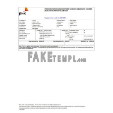 INDIA PRICEWATERHOUSECOOPERS Service Delivery Center (Kolkata) Private limited fake payslip Word and PDF template