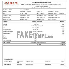 INDIA SENSYS technologies Pvt. Ltd. fake payslip Word and PDF template