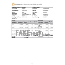 INDIA THOMSON Reuters India Services Private Limited fake payslip Word and PDF template