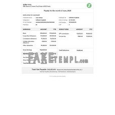 INDIA ZYLKER corporation fake payslip Word and PDF template