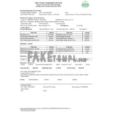 INDIA education authority Punjab mpnthly fake salary statement Word and PDF template