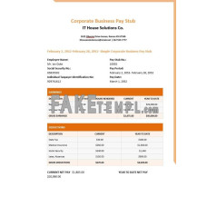 IT house solutions Co. fake pay stub Word and PDF template