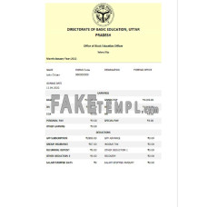 India Directorate of Basic Education Uttar Pradesh fake educational company Word and PDF template