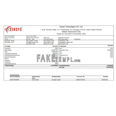 India Sensys technologies fake Pvt IT technologies Word and PDF template