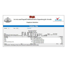 India Service and fake payroll administrative repository for kerala fake payroll company Word and PDF template