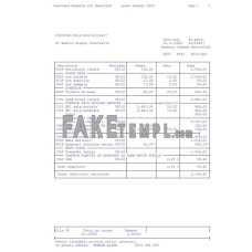 Kaufland Romania SCS fake paystub Word and PDF template