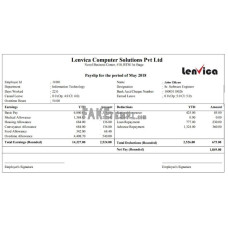 LENVICA computer solutions Pvt Ltd fake payslip Word and PDF template