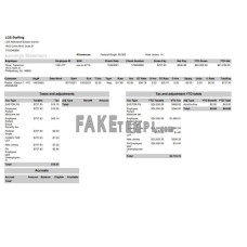 LGS Staffing fake pay stub Word and PDF template