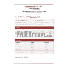 La Belle Organisation fake paystub Word and PDF template