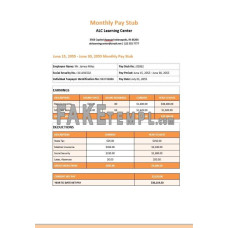 Learning Center Monthly fake paystub Word and PDF template