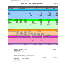 Lockport City School fake pay stub Word and PDF template