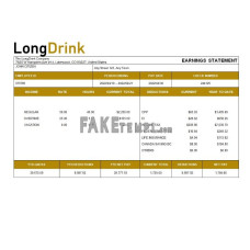 LongDrink company fake payroll Word and PDF template