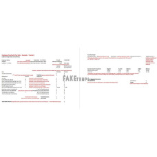 Lubbock Independent School District teacher fake Word and PDF template