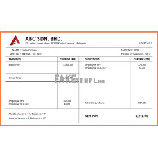 MALAYSIA ABC SDN. BHD. fake pay stub Word and PDF template