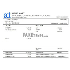 MALAYSIA MICRO MART fake payslip Word and PDF template