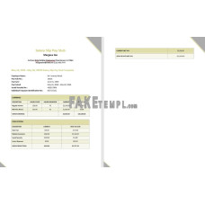 Margaux Inn Salary Slip fake pay stub Word and PDF template