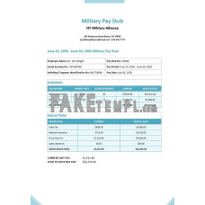 Military fake paystub Word and PDF template